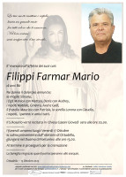 /album/galleria-foto-epigrafi/78-filippi-framar-mario-jpg/
